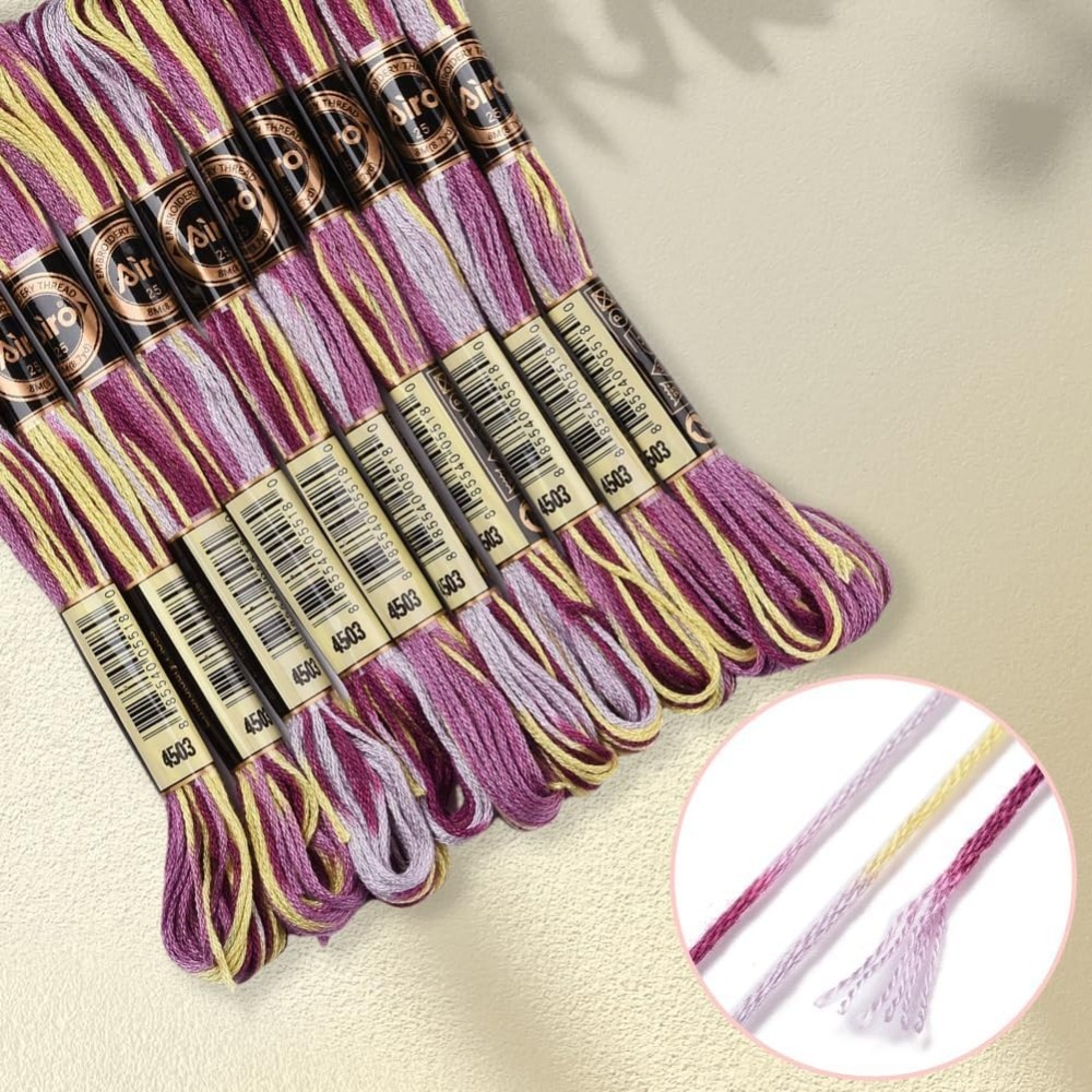 6 Strands Purple Variegated Em - đánh giá và giá Embroidery Stitches